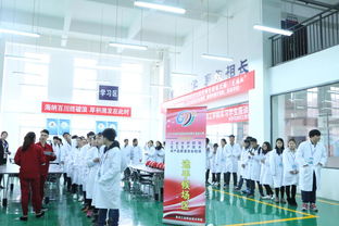 沉潜砺技展锋芒 笃行致远铸辉煌——2017年贵州省职业院校师生技能大赛“瓮福杯”工业分析检验、化工生产技术、农产品质量安全检测赛项纪实（八）化工产品篇
